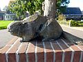 de laatste bever van Nederland in Zalk door Hermieneke Schaeffer