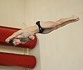 * Nomination: Training at the 48th Hallorenpokal in diving in Halle (Saale) on 5 February 2023. By User:DerHexer --Augustgeyler 08:57, 20 May 2023 (UTC) * * Review needed