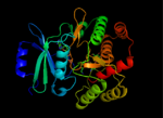 Thumbnail for Kanamycin kinase