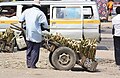 File:A man selling sugar cane.jpg