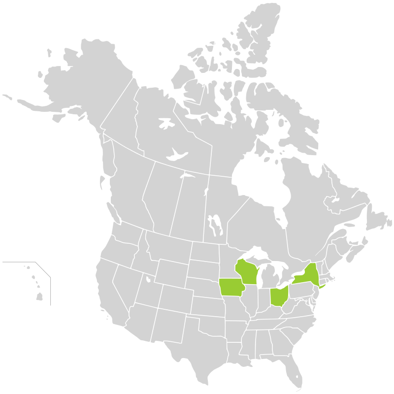 Canada Forest Map.