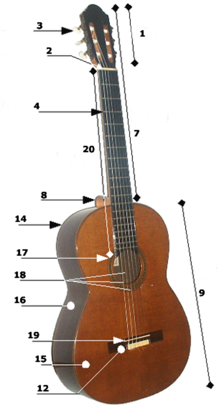 Tập_tin:Acoustic_guitar_parts.png