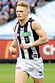 Adam Treloar in 2017