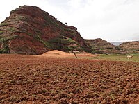 Aeolian deposition near Addeha, Kola Tembien, Ethiopia. (2019)