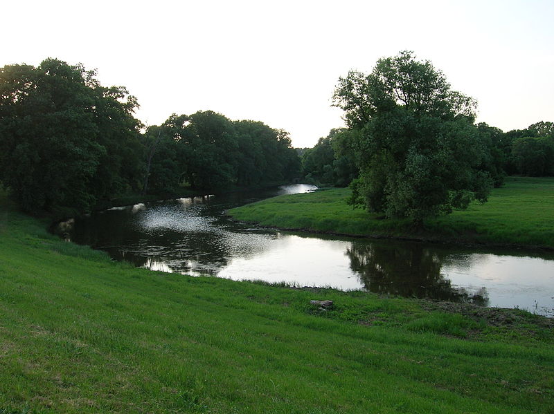 File:Alter Elbarm bei Aken der Mittlere Elbe im Landkreis Anhalt Bitterfeld.JPG