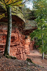 Altschlossfelsen Eppenbrunn