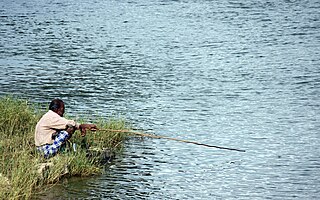 File:Angling - old man fishing, Batticaloa.JPG - Wikimedia Commons