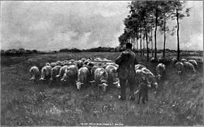 Anton Mauve-A Flock of Sheep.jpg