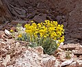 Anniversary Narrows, Lake Mead, NV