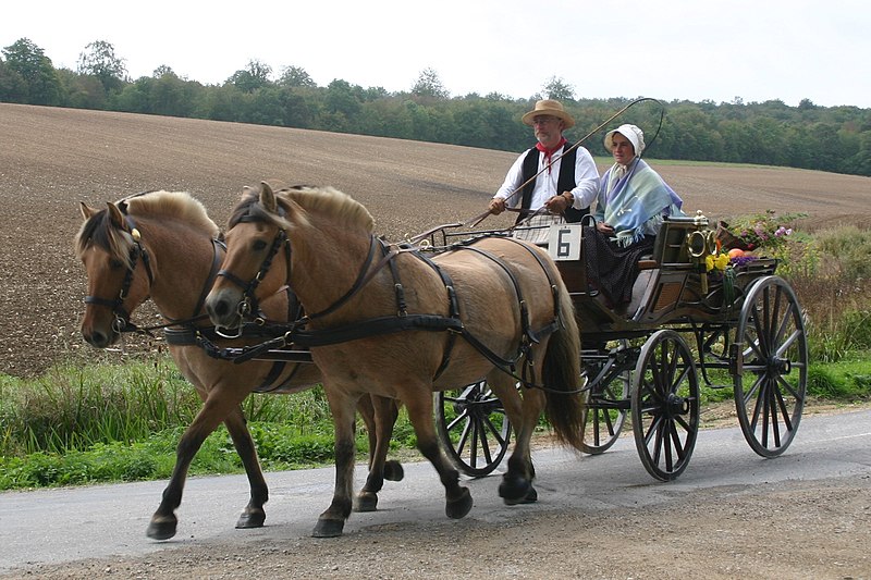 Fichier:Attelage en pair par sangles.JPG