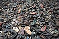 * Nomination Shoes of victims of Auschwitz I in the Museum. --Kallerna 08:46, 30 November 2019 (UTC) * Promotion  Support Good quality. --Chenspec 21:53, 30 November 2019 (UTC)