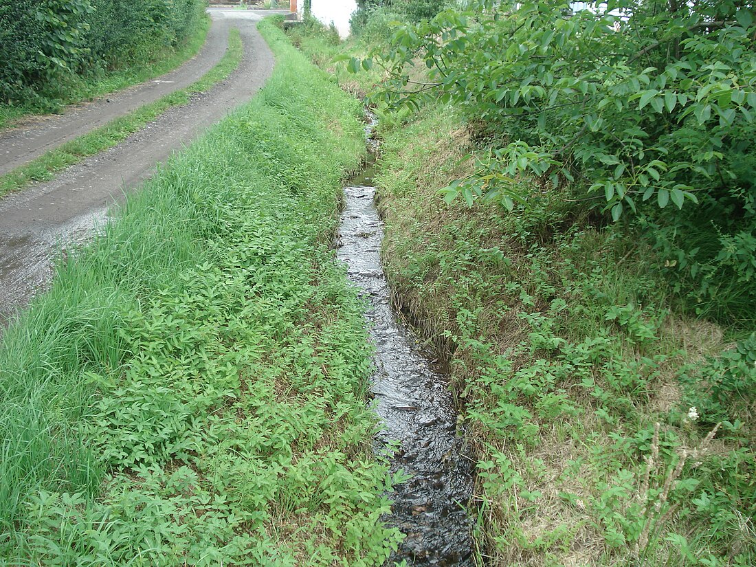 Büchelbach (Bieber)