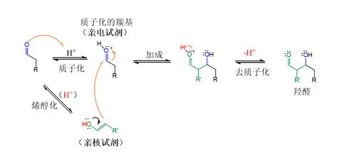 酸催化下的醛自身縮合機理