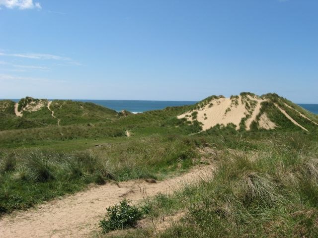 File:Back_of_the_dunes_at_Freshwater_West_-_geograph.org.uk_-_860135.jpg