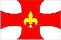 Bandeira de Regente Feijó