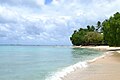 Playa de Barbados