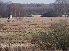 Postmoor bei Bargfeld im Naturschutzgebiet Lutter