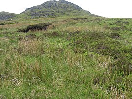 Beinn Reithe - geograph.org.uk - 447577.jpg