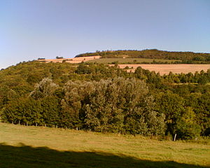 South side of the Bierberg