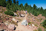 Thumbnail for File:Black Crater trail (4103933114).jpg