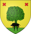 Blason