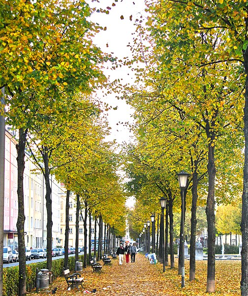 File:Bordeauxplatz Haidhausen München 2.jpg