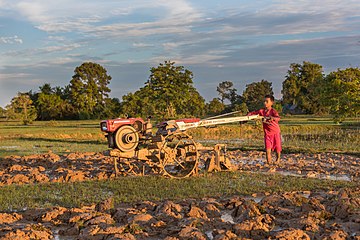 Boy plowing with a tractor at sunset in Don Det, Laos.jpg