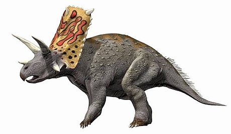 Bravoceratops polyphemus