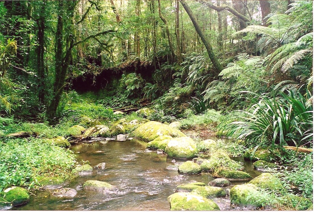 Border Ranges National Park