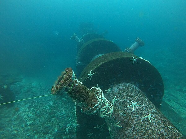 Marine brine discharge in Chile with its surrounding marine life