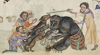 <span class="mw-page-title-main">Bear-baiting</span> Blood sport with bears