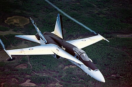 Fail:CF-18A 416 Sqn Millennium Bird in flight 2000.jpg