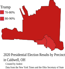 Results from the 2020 Presidential Election in Caldwell, the county's largest Village.