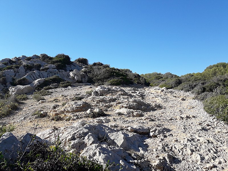 File:Camí de ronda de Sitges a Vilanova - 20221120 115731.jpg