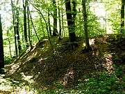 Détail du « camp romain » (origine controversée), à proximité de la voie romaine.