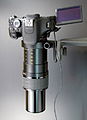 Canon Objektiv MP-E 65mm mit Kamera EOS 600D (fcm).jpg