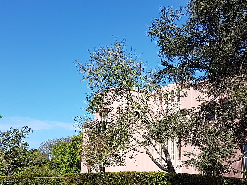 File:Casa Serralves (33905101708).jpg