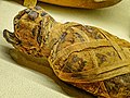 File:Cat mummy probably from Bubastis, Ptolemaic Period Egypt 2nd century BCE Penn Museum.jpg