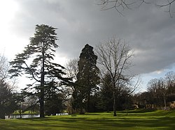 Vista de Caversham Court.jpg