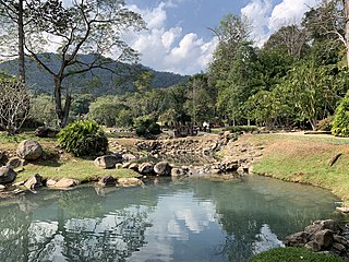 <span class="mw-page-title-main">Chae Son National Park</span> National park in Lampang Province, Thailand