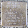 Charlotte Levi - Hartungstrasse 9 (Hamburg -Rotherbaum). Stolperstein.nnw.jpg