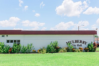 Mulberry