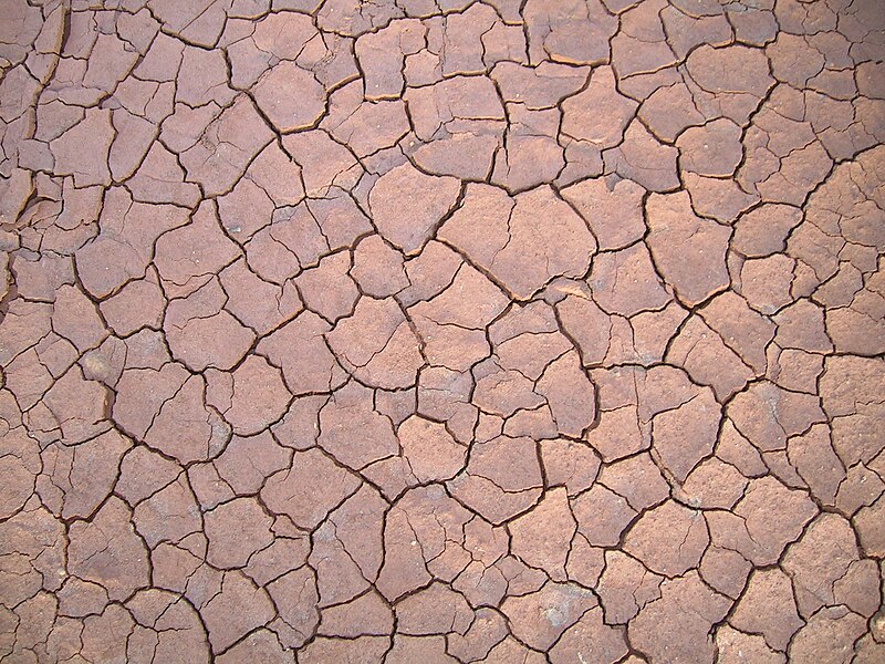 File:Clay cracked.jpg