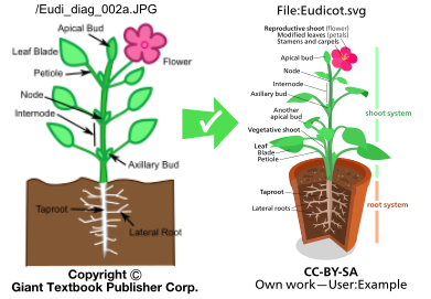 Good example of avoiding copyvios when drawing diagrams