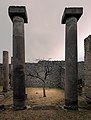 Image 79Courtyard with a tree flanked by columns, Archaeological Park of Pompeii, Italy