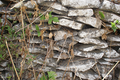 Hand made stone wall in Croatia, 2006