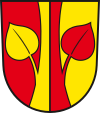 Wappen von Üfingen