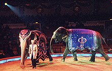 Dan Koehl in maharaja clothing at Cirkus Krone, Germany (2001). Dan Koehl.jpg