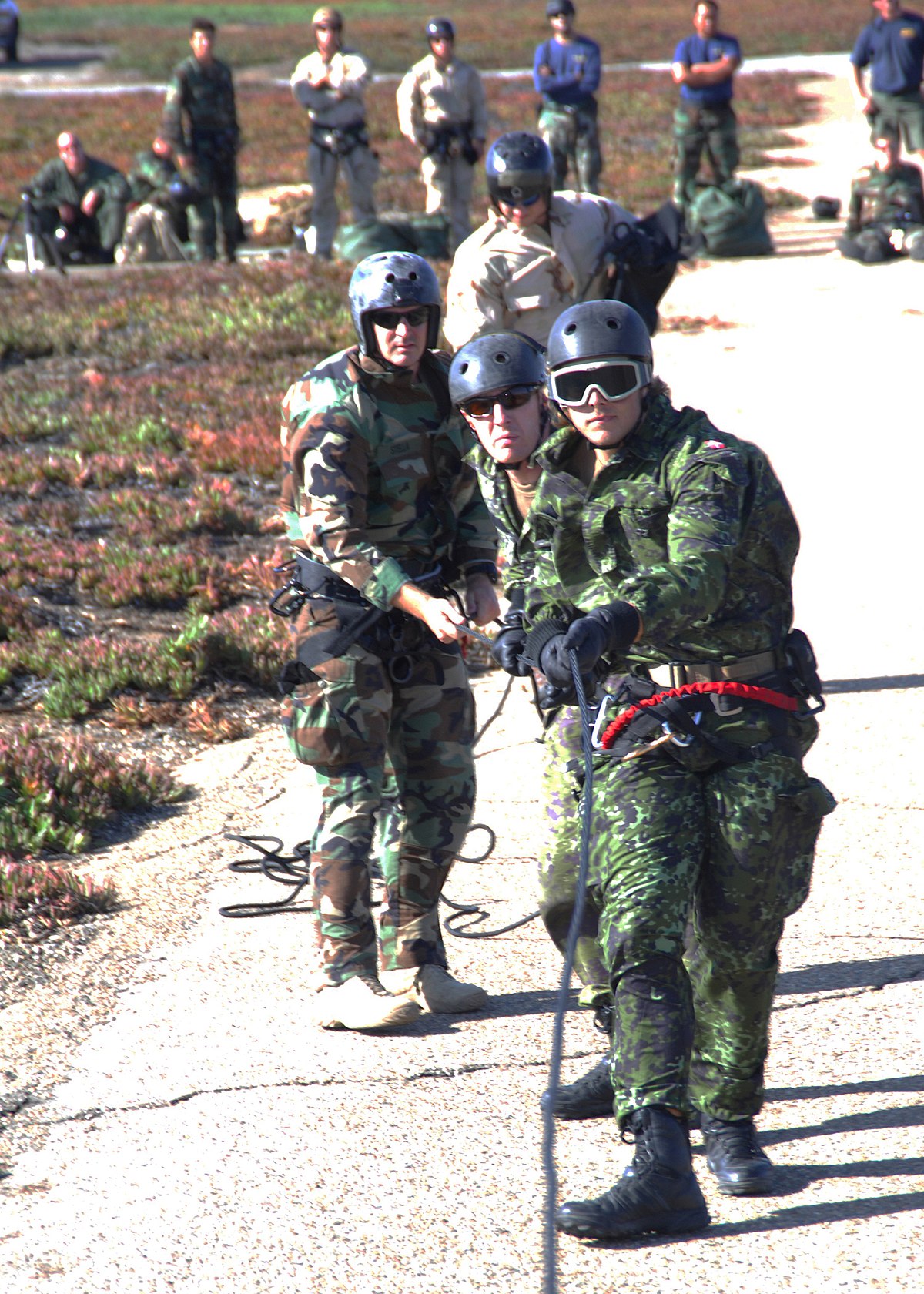 danish navy special forces