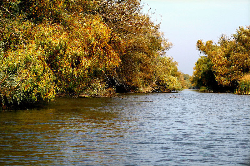 File:Danube Delta, autumn.jpg